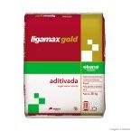 Argamassa de uso externo Ligamax Fachada Gold Aditivada 20kg Portokoll