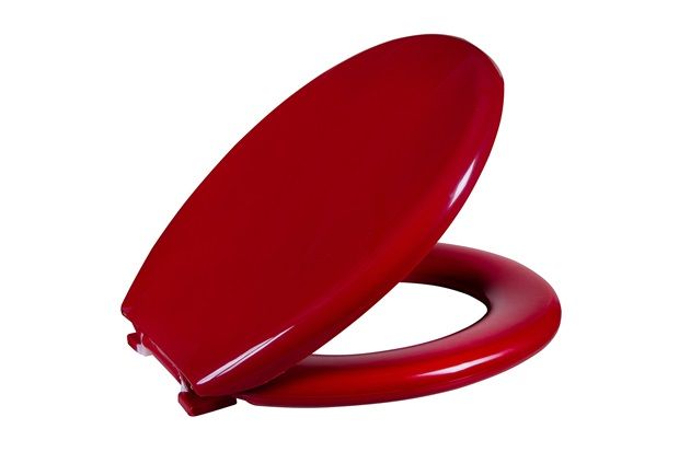 Assento Sanitário Almofadado Bordo