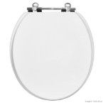 Assento sanitário Convencional poliéster branco Alterna