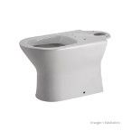 Bacia para caixa acoplada 3/6 litros Sifônica Nexo branca Roca