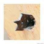 Broca chata para madeira Selfcut Speed 19x152mm fresa plana Bosch