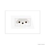 Conjunto tomada 2P T 10A para móveis pró 85078 Alumbra