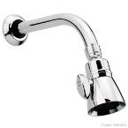 Ducha de parede com tubo Chua cromado NBR 15206 Deca