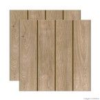 Ladrilho Semi-grês VR12 20x20cm Royal Gres