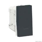 Módulo interruptor paralelo 10A 250V 1 módulo grafite Schneider