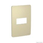 Placa 4X2 1 posto Horizon gold Schneider