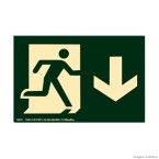 Placa de sinalização - SAÍDA DE EMERGÊNCIA - seta reta para baixo verde Sinalize