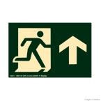 Placa de sinalização - SAÍDA DE EMERGÊNCIA - seta reta para cima verde Sinalize