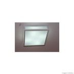 Plafon quadrado para 2 lâmpadas escovado lateral vidro grande Pantoja