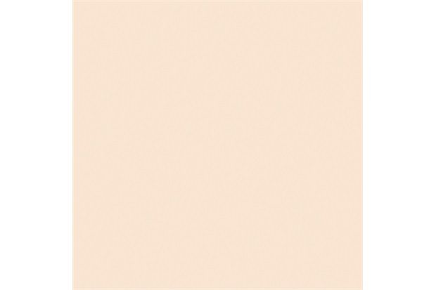 Porcelanato Bianco Plus Polido 50x50cm