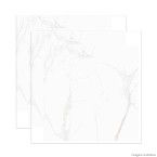 Porcelanato bold 60x60cm Statuario fosco Buschinelli