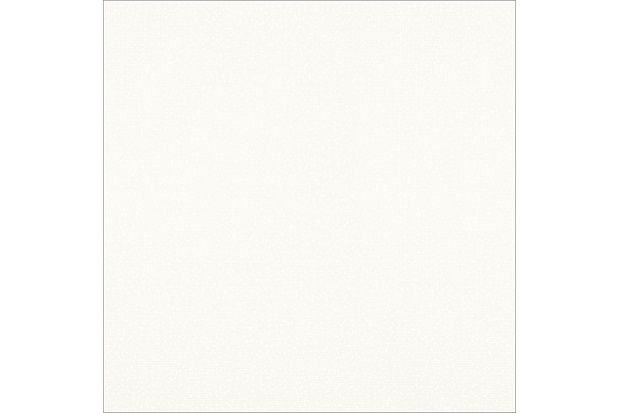 Porcelanato Neon Renda Brilhante Bold 53x53cm