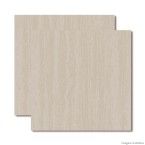 Porcelanato retificado 60x60cm Tecno Évora polido Delta