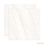 Porcelanato retificado 60x60cm Vega técnico polido Eliane