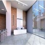 Porcelanato retificado 62x62cm Parthenon polido branco Elizabeth