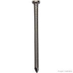 Prego com cabeça de aço galvanizado 12x12mm PRA/02 cinza Fixtil