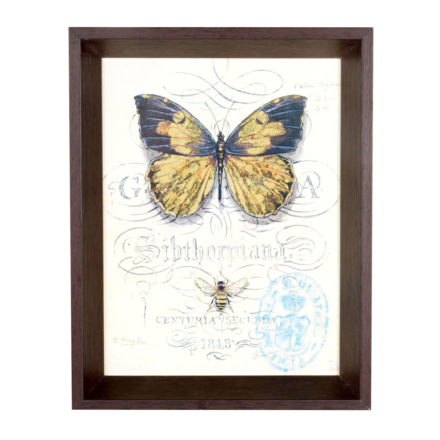 Quadro Centuria 19x24cm