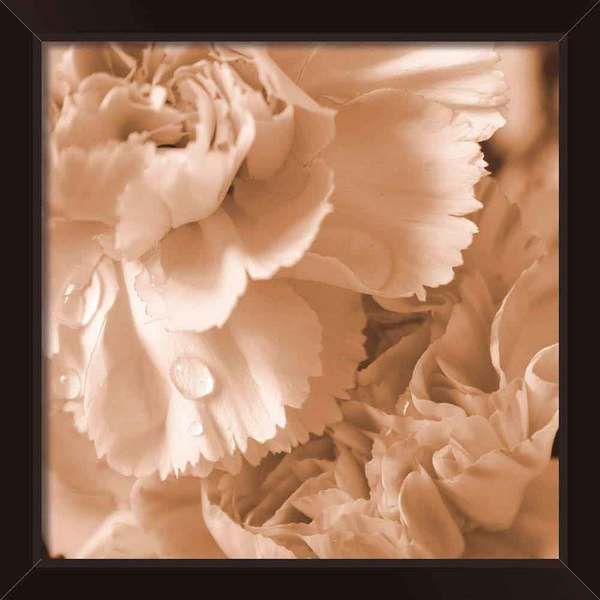 Quadro Rose Drama 29x29cm