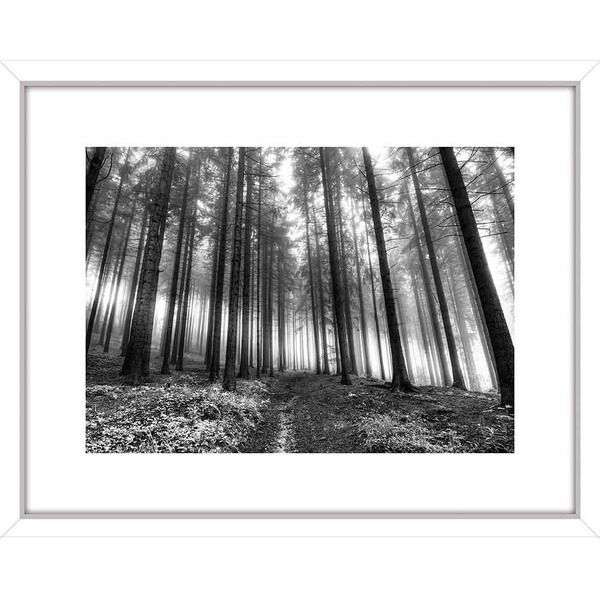 Quadro Sombras da Floresta 49x39cm