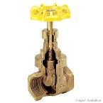 Registro de gaveta uso semi industrial 3/4 DN20 bruto Deca