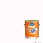 Tinta Látex Novacor acrílica fosco 3,6 litros camurça Sherwin Williams